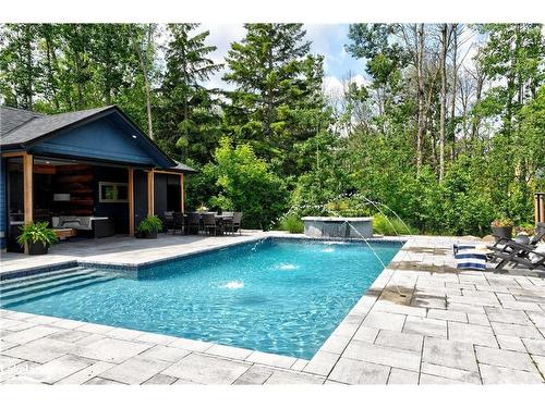 11 Forest Drive, Collingwood, ON - Outdoor With In Ground Pool With Backyard