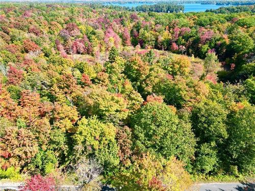 0 Acton Island Road, Muskoka Lakes, ON 