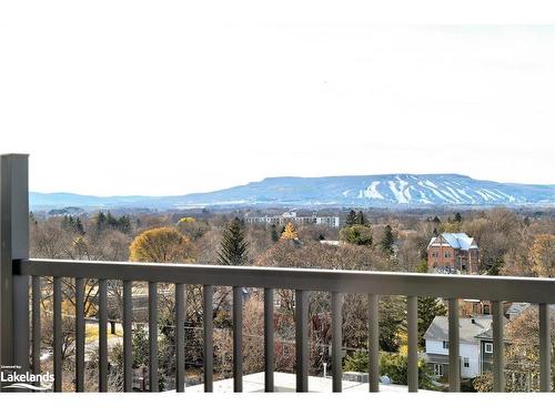 524-1 Hume Street, Collingwood, ON - Outdoor With View