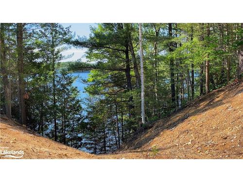 1005 Murrays Road, Haliburton, ON - Outdoor With View