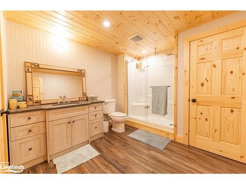 861 Selena Drive, Sprucedale, ON - Indoor Photo Showing Bathroom
