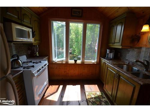 10365 Rabbit Lake, Temagami, ON - Indoor Photo Showing Kitchen With Double Sink