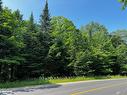 4655 Aspdin Road, Muskoka Lakes, ON 