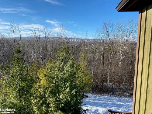 59 Joseph Trail, Collingwood, ON - Outdoor With View