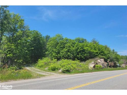 103 Whites Falls Road, Georgian Bay Twp, ON - Outdoor With View