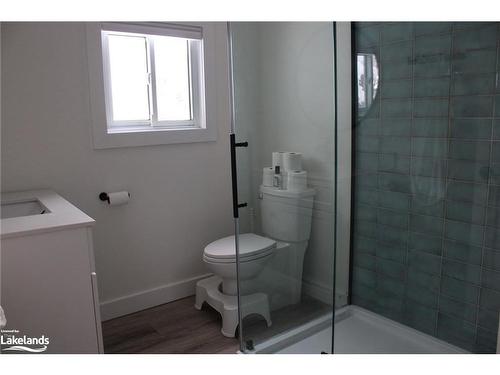 29 Richmond Street, Emsdale, ON - Indoor Photo Showing Bathroom