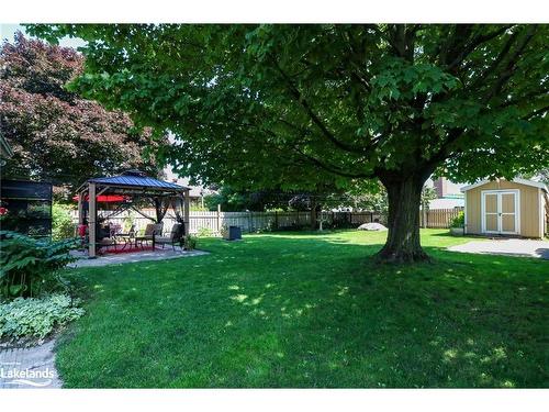 46 Erie Street, Collingwood, ON - Outdoor With Backyard