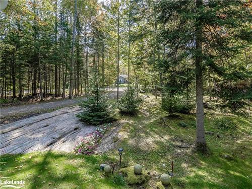 2964 Pinecone Trail, Washago, ON - Outdoor With View