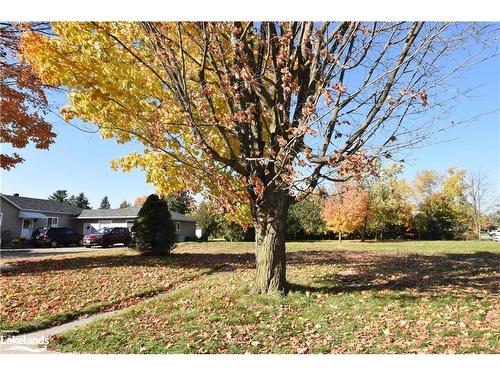 Part Lot 31 Edward St, Creemore, ON 