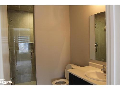 32 Winters Crescent, Collingwood, ON - Indoor Photo Showing Bathroom