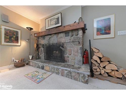 838742 4Th Line E, Mulmur, ON - Indoor Photo Showing Living Room With Fireplace