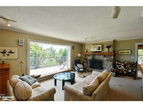838742 4Th Line E, Mulmur, ON - Indoor Photo Showing Living Room With Fireplace