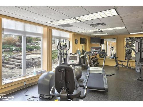 209 Snowberry Lane, Kemble, ON - Indoor Photo Showing Gym Room