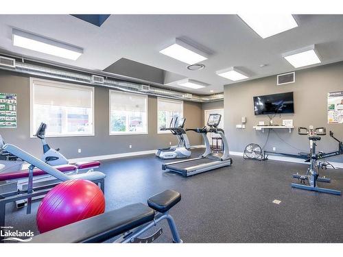 123 Conservation Way, Collingwood, ON - Indoor Photo Showing Gym Room