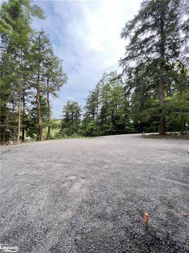 0 Highlands Island, Muskoka Lakes, ON - Outdoor With View