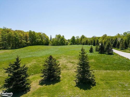 569593 Sideroad 6, The Blue Mountains, ON - Outdoor With View
