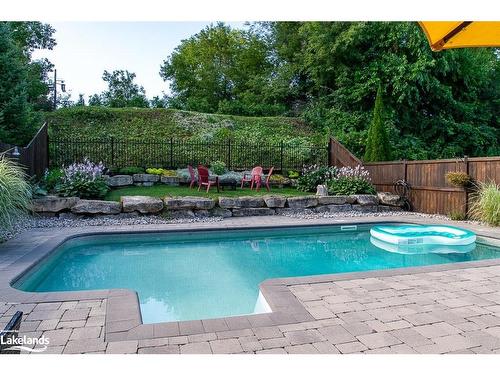20 Lynden Street, Collingwood, ON - Outdoor With In Ground Pool With Backyard