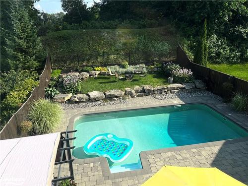 20 Lynden Street, Collingwood, ON - Outdoor With In Ground Pool With Backyard