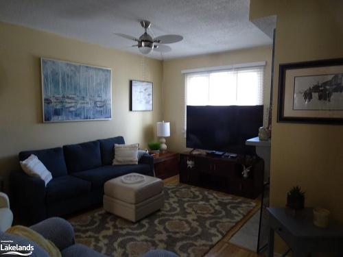 20 Parkside Street, Minden, ON - Indoor Photo Showing Living Room