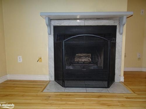 20 Parkside Street, Minden, ON - Indoor Photo Showing Living Room With Fireplace