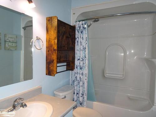 20 Parkside Street, Minden, ON - Indoor Photo Showing Bathroom