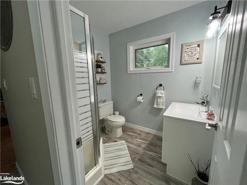 1035 Pebble Brook Lane, Algonquin Highlands, ON - Indoor Photo Showing Bathroom