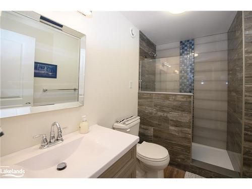 252 Ironwood Way, Kemble, ON - Indoor Photo Showing Bathroom