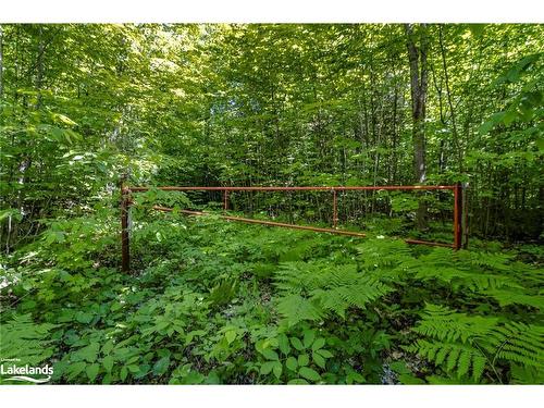 Lot 23 17 Concession W, Tiny, ON 