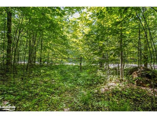 Lot 23 17 Concession W, Tiny, ON 