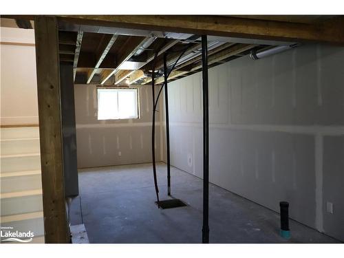 24 Collins Court, Utterson, ON - Indoor Photo Showing Basement