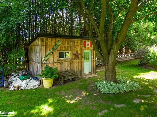 236 Eliza Street, Meaford, ON - Outdoor