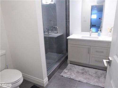 178 Courtland Street, The Blue Mountains, ON - Indoor Photo Showing Bathroom