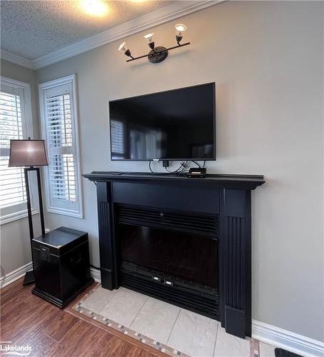 705-796468 Grey Road 19, The Blue Mountains, ON - Indoor With Fireplace