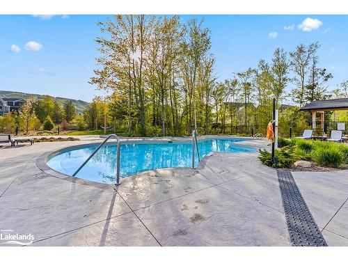 123 Black Willow Crescent, The Blue Mountains, ON - Outdoor With In Ground Pool With Backyard