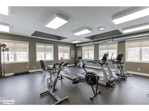 133 Conservation Way, Collingwood, ON - Indoor Photo Showing Gym Room