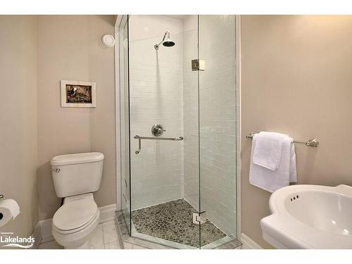 169 High Bluff Lane, Thornbury, ON - Indoor Photo Showing Bathroom