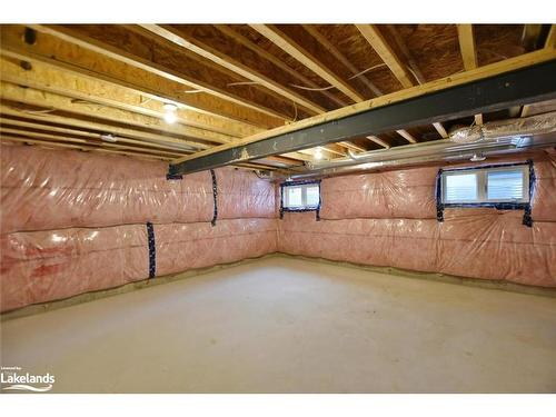 155 Courtland Street, The Blue Mountains, ON - Indoor Photo Showing Basement