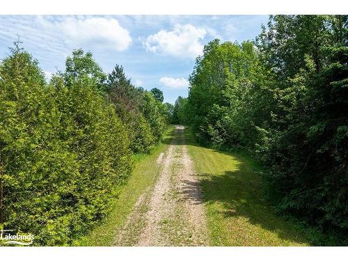 Part Lot 11-12 Sideroad 10, Chatsworth, ON 