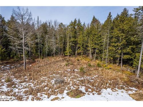 Part Lot 4, Utterson, ON 