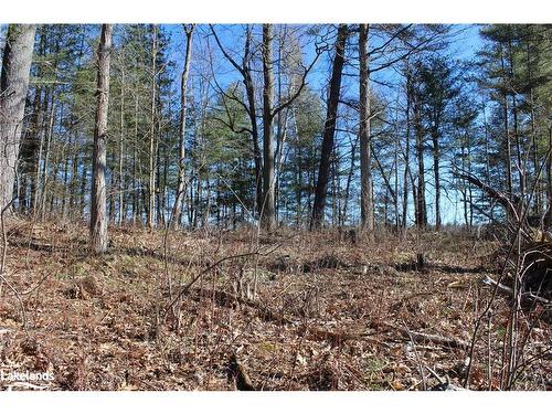 Part Lots H & I Severn River Island, Gravenhurst, ON 