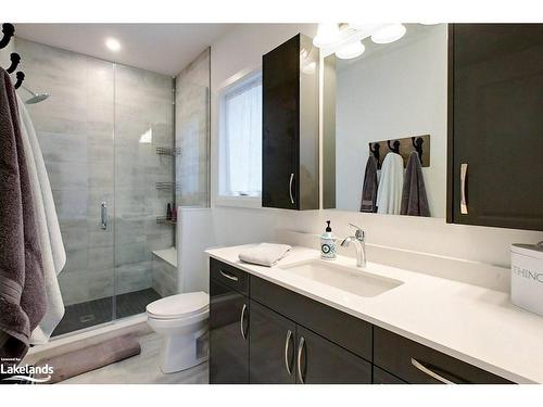 106 Clippers Lane, Thornbury, ON - Indoor Photo Showing Bathroom