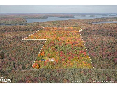 1183 Echo Lake Road, Baysville, ON - Outdoor With Deck Patio Veranda With Exterior