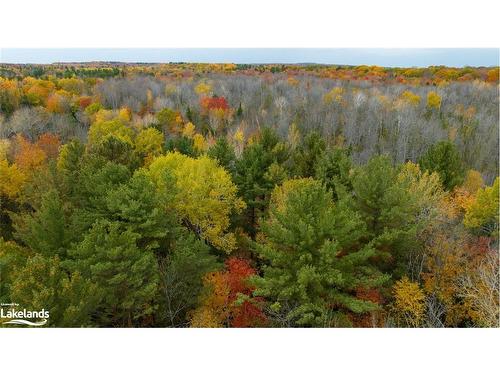 Part Lot 18 Concession Road 13 W, Tiny, ON 