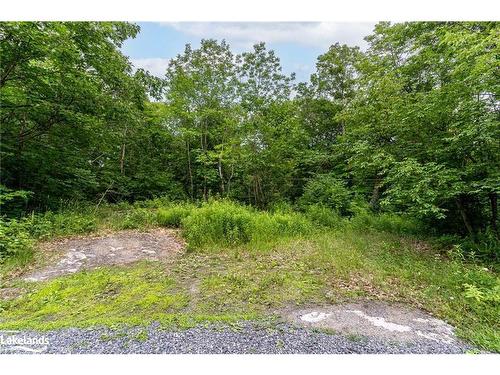 Part Lot 24 & 25 Giles Road, Seguin, ON 