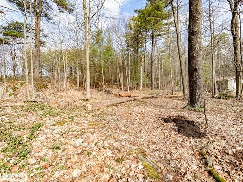 1011 North Kahshe Lake Road, Gravenhurst, ON - Outdoor With View