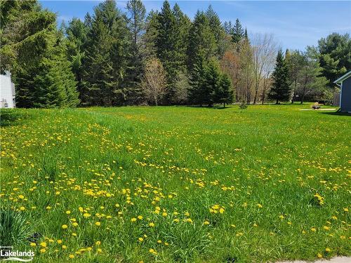 84 Covered Bridge Trail, Bracebridge, ON 