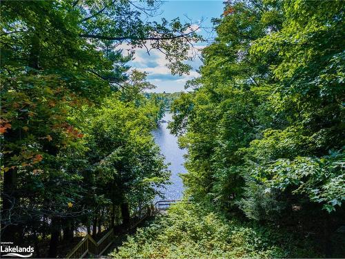 28 Mill Lake Trail, Mcdougall, ON - Outdoor