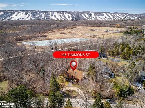 108 Timmons Street, Craigleith, ON - Outdoor With View