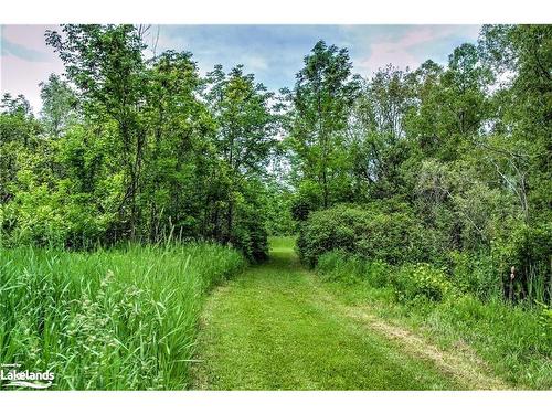 3202 County 124 Road, Duntroon, ON - Outdoor