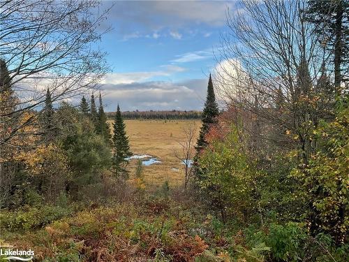 34 Pine Drive, Sprucedale, ON - Outdoor With View